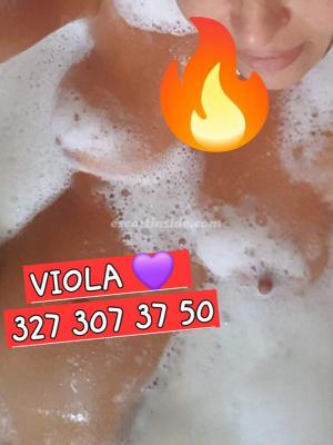 LADY VIOLA San Fermo della Battaglia